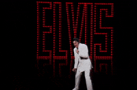 elvis presley 1950s GIF