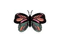 Butterfly Garden Sticker