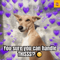 Puppylove GIF by Pedigree India