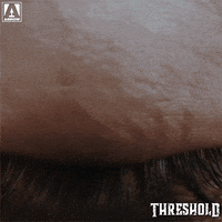 Wake Up Eye GIF by Arrow Video