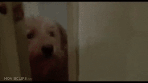 geiselr17 giphygifmaker the jerk GIF