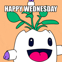 Happy Good Vibes GIF by Magic Eden