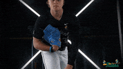 Tulane Rollwave GIF by GreenWave