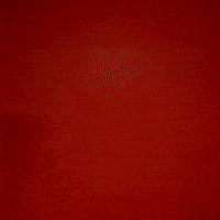 Ben Roberts GIF by Texas Tech Football