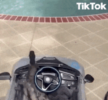 Car Duck GIF by TikTok