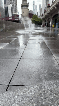 Fish Sticks Singing GIF