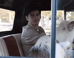 Dog Smile GIF by Aristotle and Dante Universe