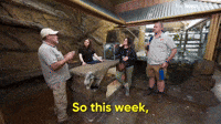 Big Plans For The Week