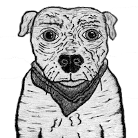pit bull dog Sticker by dylanreitz