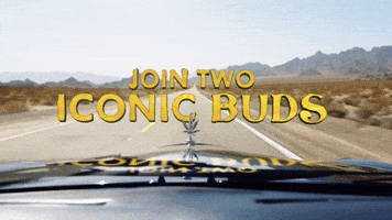 Cheech And Chong Smoke GIF by Cheech & Chong’s Last Movie