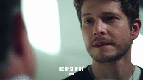 the resident fox GIF