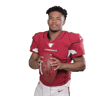 Arizona Cardinals Football Sticker by NFL