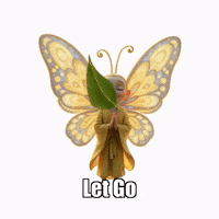 Let Go Peace GIF by BuddhaFlyJourney