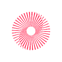 Awards Winners Sticker by TikTok