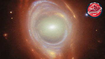James Webb Nasa GIF by ESA Webb Space Telescope