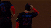 Blue Jays Baseball GIF by Toronto Blue Jays