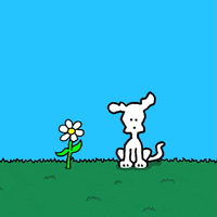 I Love You Dogs GIF by Chippy the Dog