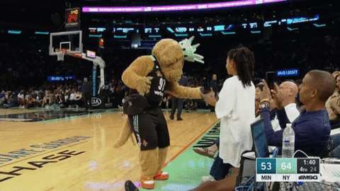 wnba giphyupload new york liberty GIF
