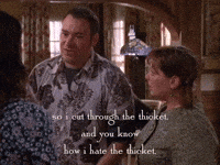 season 6 netflix GIF by Gilmore Girls 