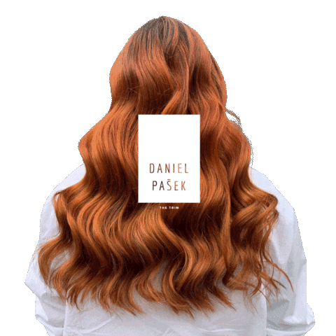 thetrim giphyupload hairdresser hairstylist thetrim Sticker