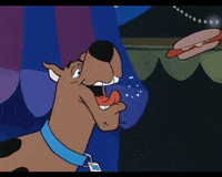 Hot Dog Eating GIF