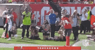 Regular Season Football GIF by NFL