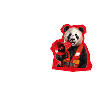 Zusammen Panda Bear Sticker by Deutscher Gewerkschaftsbund (DGB)