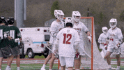 Celebration Goal GIF by Colgate Athletics