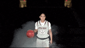 Littlerockwbb GIF by Little Rock Athletics
