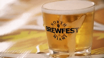 beer brew GIF by FIU
