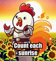 Sun Wisdom GIF by Zorooster