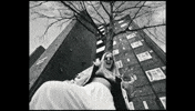 2002 GIF by Anne-Marie