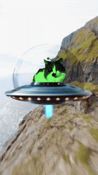 Cat Ufo GIF