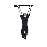 JLFITNESSMIAMI pull ups bodyweight training jlfitnessmiami Sticker