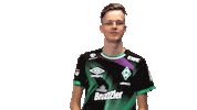 Fifa Ea Sticker by SV Werder Bremen