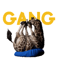 LazyThings nft things lazy nfts Sticker