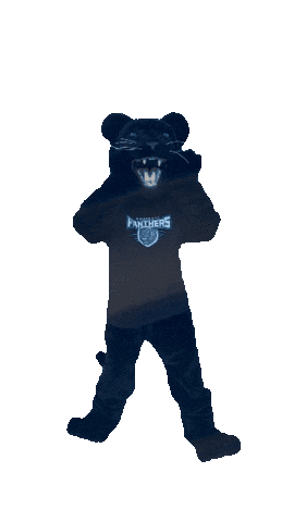 Academica Sticker by Somerset Panthers