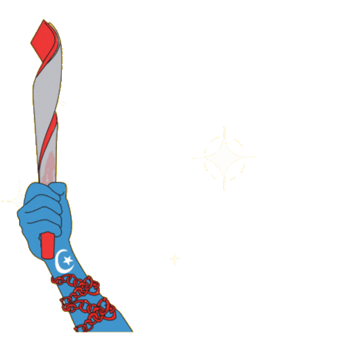 Olympic Torch Olympics Sticker by EUJS