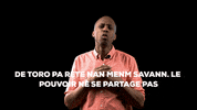 Haitian Flag Haiti GIF by Bernardson