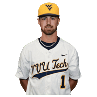Baseball Cole Brown Sticker by WVU Tech Golden Bears