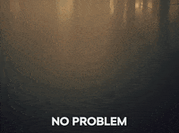 skodaglobal no driving agree way GIF