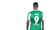 Davie Selke Goal Sticker by SV Werder Bremen