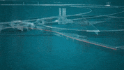 GIF by CERN