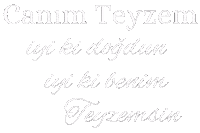 Birthday Iyiki Sticker