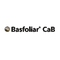 Cab Sticker by Compo Expert Brasil