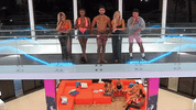 de ferias com o ex eua GIF by MTV Brasil