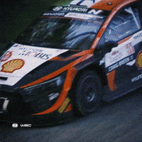 Rallying Ford GIF by FIA World Rally Championship