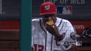 washington nationals eating GIF by MLB