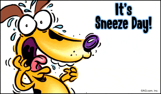 sneeze GIF