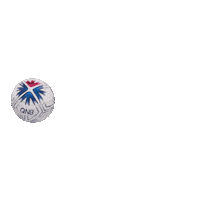 World Cup Football Sticker by QNB Group